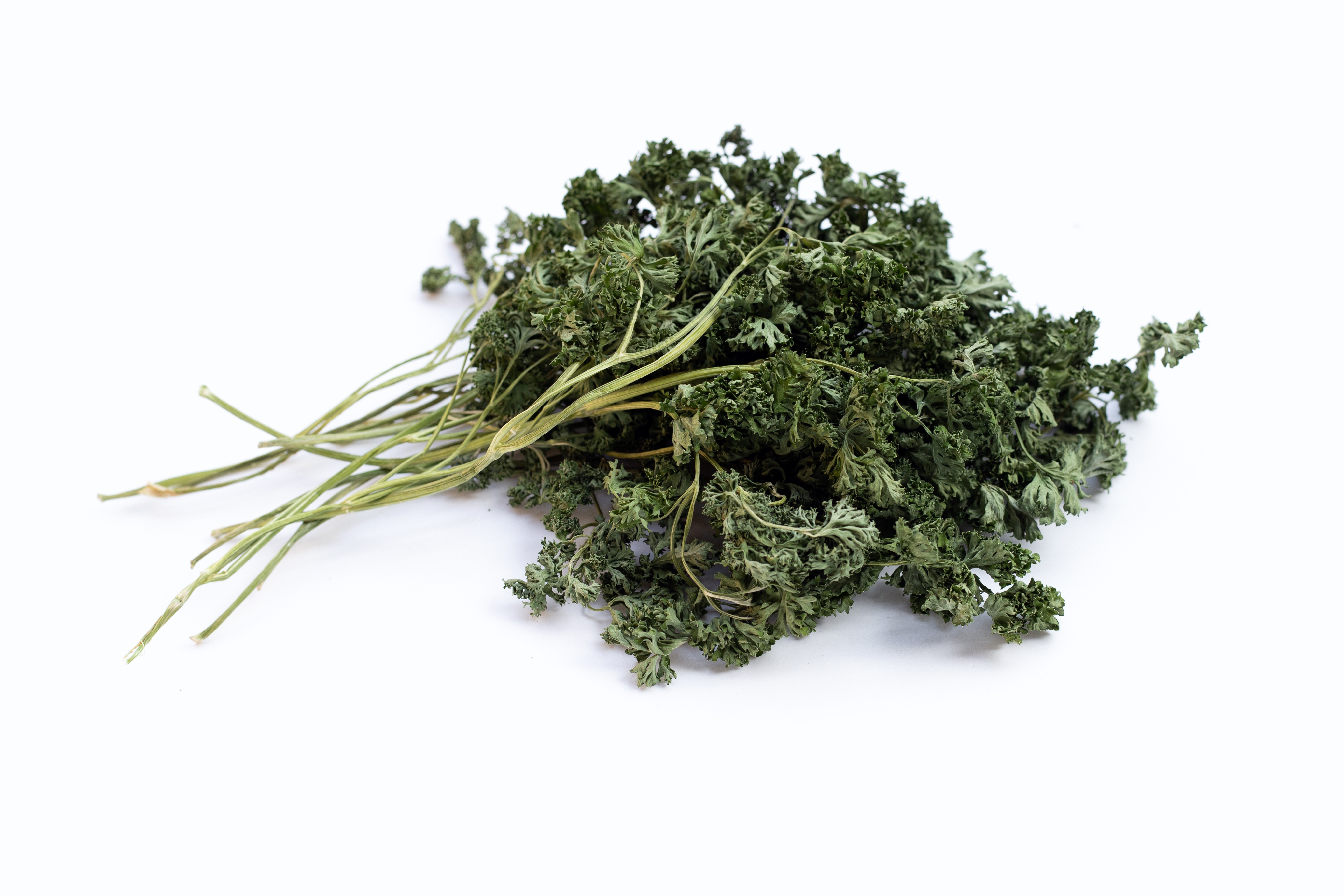 Parsley Curly