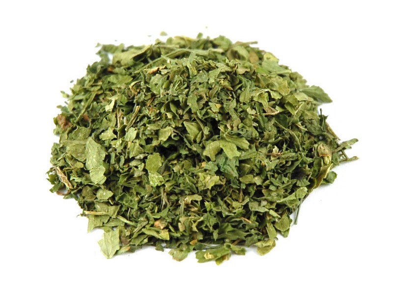 Cilantro